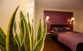 P54 Apartment